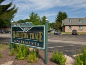 Hamilton Trace