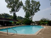 Traver Knoll Pool